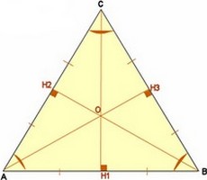 Voile-triangulaire-ssw6.jpg